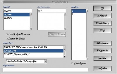 Drucker-Einstellungsfenster GSView